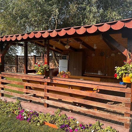 Готель Casa Carp Calarasi Екстер'єр фото