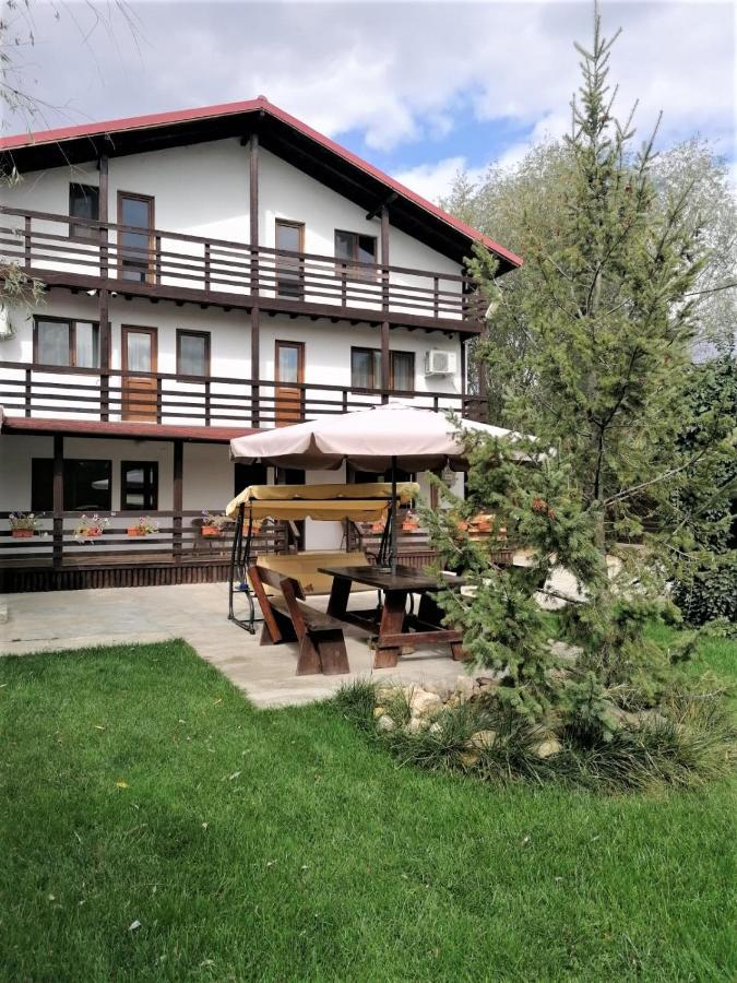 Готель Casa Carp Calarasi Екстер'єр фото