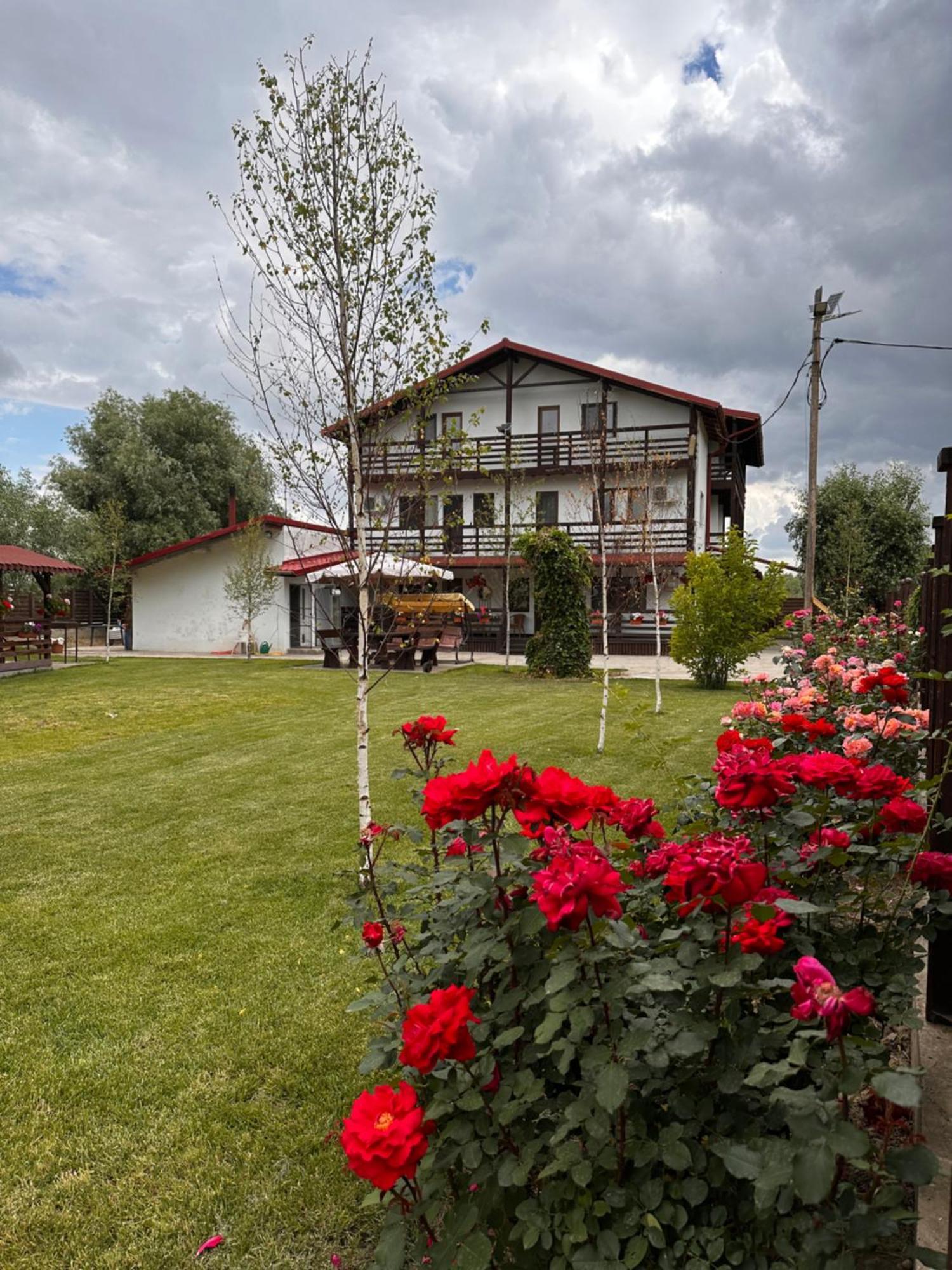 Готель Casa Carp Calarasi Екстер'єр фото