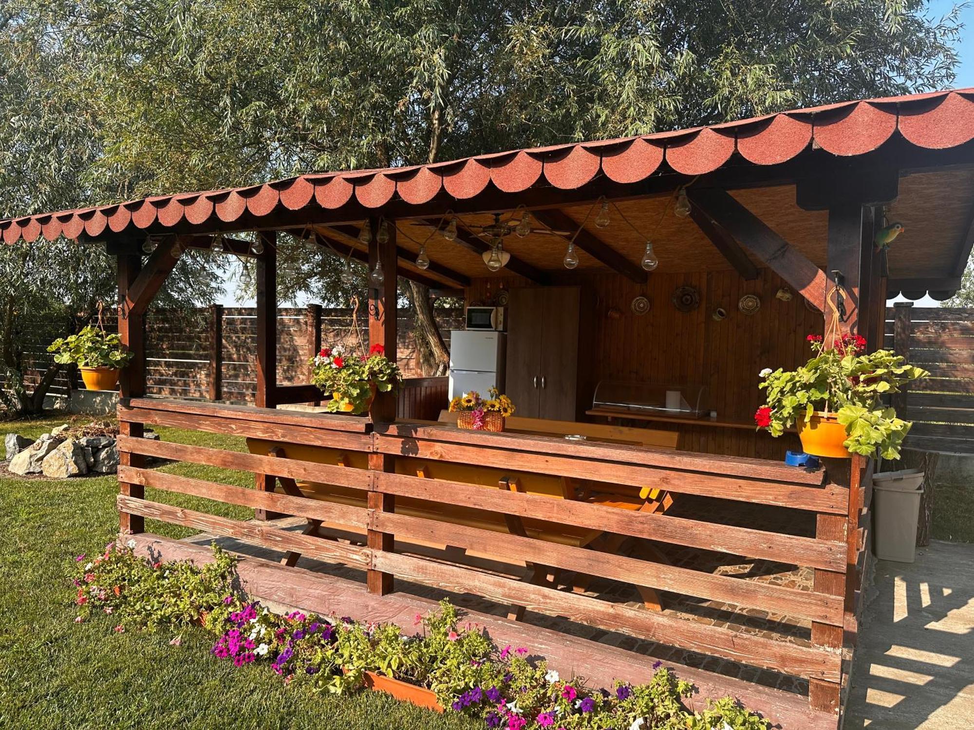 Готель Casa Carp Calarasi Екстер'єр фото